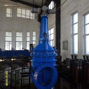Ductile Iron Flanged Gate Valve with Rotork Actuator