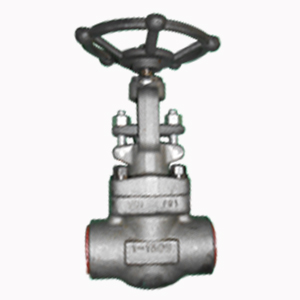 ASTM A105 Globe Valve, 1 Inch, Rating 1500, SW