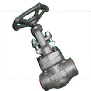 Forged Globe Valve, ASTM A182 F91, 1IN 1500LB SW