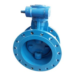 Double Eccentric Butterfly Valve, 6 Inch, 150 LB