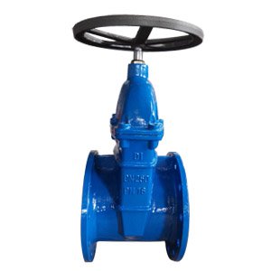 Flanged Gate Valve, PN16, DN250, Ductile Iron